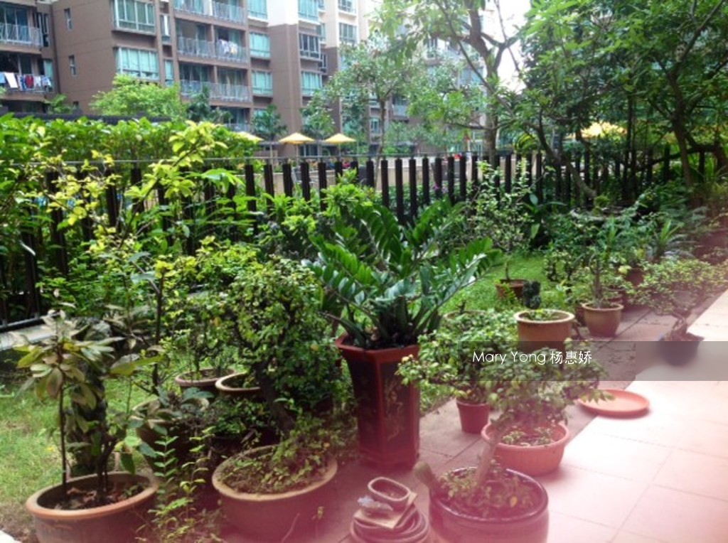 Lakeholmz (D22), Condominium #112796692